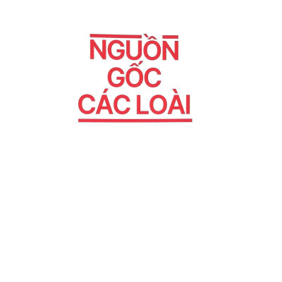 Tri Thức Kinh Điển Bằng Tranh - Nguồn Gốc Các Loài