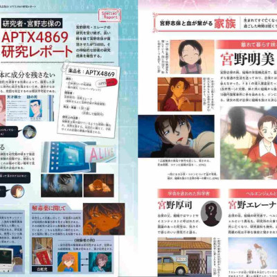 Detective Conan: Secret Archives Ai Haibara (Japanese Edition)