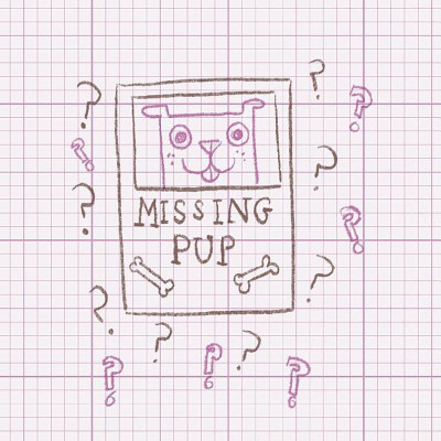 Ada Twist And The Disappearing Dogs (The Questioneers Book #5)