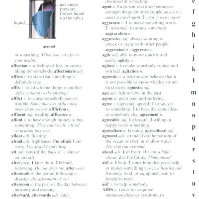 US Kingfisher Illustrated Pocket Dictionary