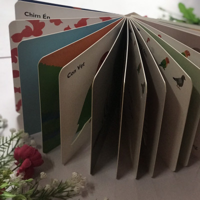 Cùng Chơi Trốn Tìm - Tập 9 : CÁC LOÀI CHIM