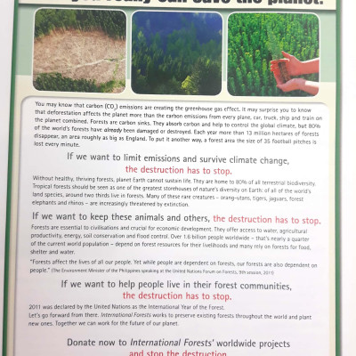 English World Student