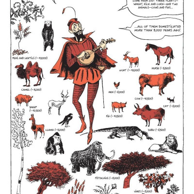 Sapiens A Graphic History Volume 2