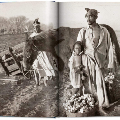 Artbook - Sách Tiếng Anh - A New World