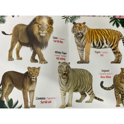 Song ngữ đầu tiên của bé _Thế giới bằng tranh_ Thế giới động vật (Mới)
