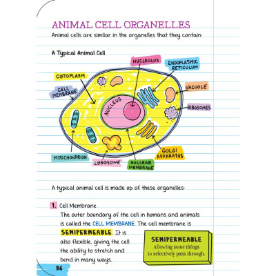 Sách - Sổ tay sinh học - Everything You Need To Ace Biology ( Tiếng Anh ) á Châu Books