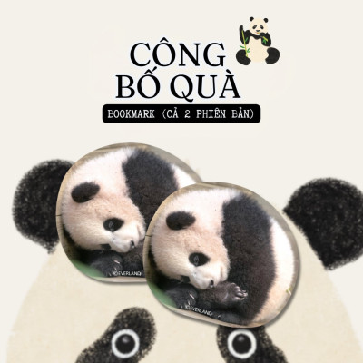 Fubao Toàn Trí