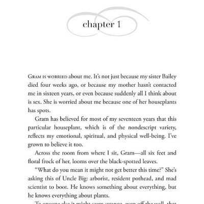 The Sky Is Everywhere (Movie Tie-In)