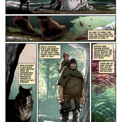 A Song Of Ice And Fire Book 2: Graphic Novel Vol.2: A Clash Of Kings