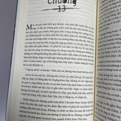 NHỮNG CÔ GÁI MẤT TÍCH Ở WILLOWBROOK – Ellen Marie Wiseman - Minh Nguyệtdịch - AZ Việt Nam - NXB Dân Trí 