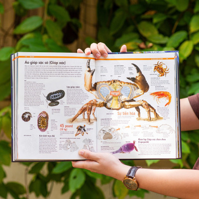 Sách Trái Đất - Sự Vận Hành Tự Nhiên - Vẻ Đẹp Của Trái Đất, Các Sự Biến Đổi Và Lịch Sử Hình Thành Của Trái Đất - Á Châu Books, Bìa Cứng, In Màu