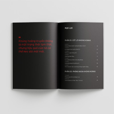 RIO Book - Khủng hoảng không băt đầu từ Truyền thông