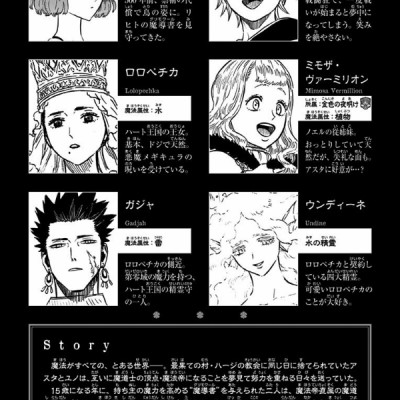 ブラッククローバー 24 - Black Clover Vol. 24