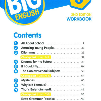 Big English Ame 2nd Edition Workbook With Audio CDs Level 6