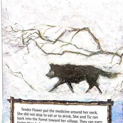 Our World Readers 4: Tender Flower& the Medicine