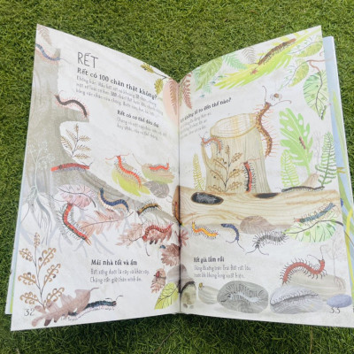 A LÊ HẤP! - THẾ GIỚI BỌ - ĐÔNG A - BẢN CỨNG IN MÀU TOÀN BỘ -