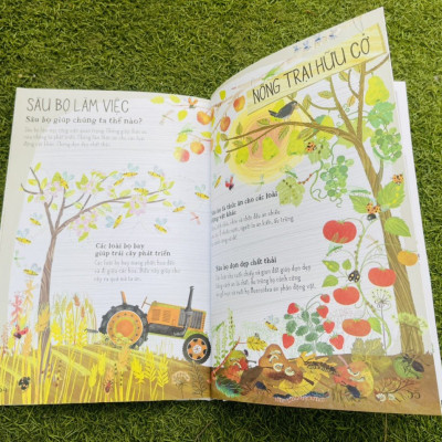 A LÊ HẤP! - THẾ GIỚI BỌ - ĐÔNG A - BẢN CỨNG IN MÀU TOÀN BỘ -