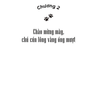 Những Năm Qua, Anh Hai Rất Nhớ Em