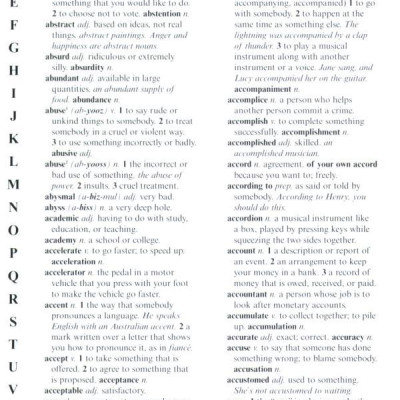US Kingfisher Illustrated Pocket Dictionary