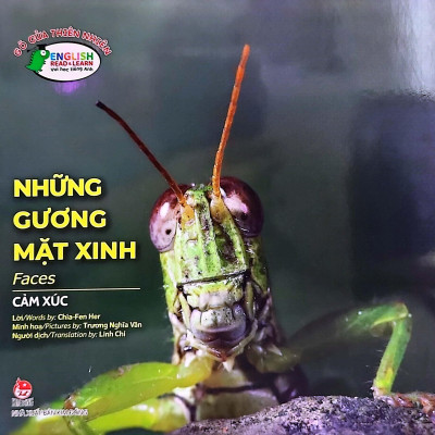 Gõ Cửa Thiên Nhiên Những Gương Mặt Xinh/Cảm Xúc_Faces