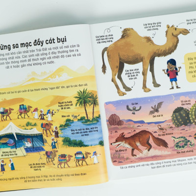 Sách Thiếu Nhi – Bách Khoa Tri Thức Cho Trẻ Em – Đinh Tị