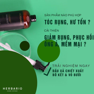 Bộ đôi Dầu Gội bồ kết & vỏ bưởi herbario 300ml + Dầu Xả Bồ Kết & vỏ bưởi Herbario 300ml (TẶNG xịt dưỡng tóc pomelo herbario 100ml)
