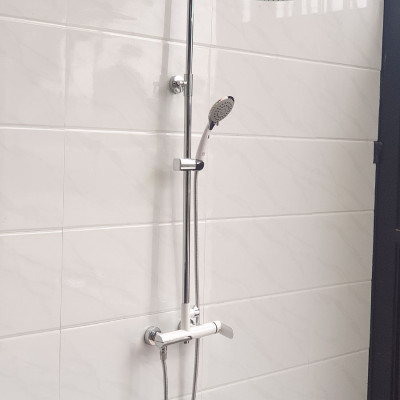 Bộ sen cây tắm đứng nóng lạnh Eurolife EL-S905 (Trắng bạc)