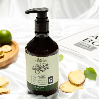 Combo 3 chai Dầu gội Hà Thủ Ô - COCAYHOALA ngăn rụng tóc, giảm bạc tóc Tặng 1 Dầu xả Gừng nuôi dưỡng và làm mềm tóc