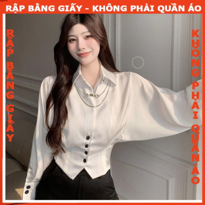 Rập giấy áo sơ mi cánh dơi mã 77 - Bản vẽ