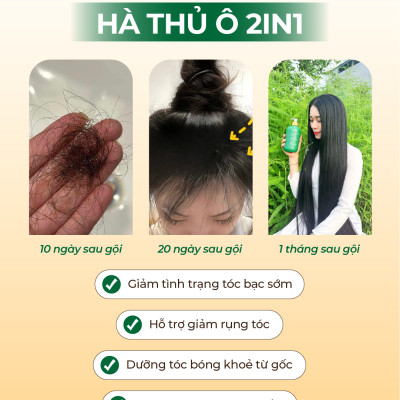 Dầu Gội Xả 2in1 Hà Thủ Ô Cỏ Cây Hoa Lá VIETNAM - Dưỡng Tóc Đen Mượt, Bóng Khỏe, Dung tích 420g/chai