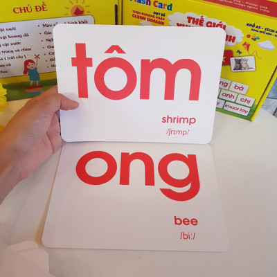 Sách - Bộ Thẻ Học Thông Minh Flashcard Thế Giới Xung Quanh Việt Hà Khổ A5 - Song Ngữ Anh Việt