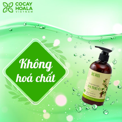 Combo 3 chai Dầu gội Hà Thủ Ô - COCAYHOALA ngăn rụng tóc, giảm bạc tóc Tặng 1 Dầu xả Gừng nuôi dưỡng và làm mềm tóc