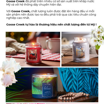 Nến ly 3 bấc Aromatherapy Goose Creek (411g) - Citrus & Basil