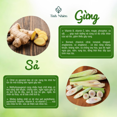 Dầu Gội Thảo Mộc Gừng Sả Tinh Nhiên ngăn ngừa gàu ngứa, giúp tóc suôn mượt