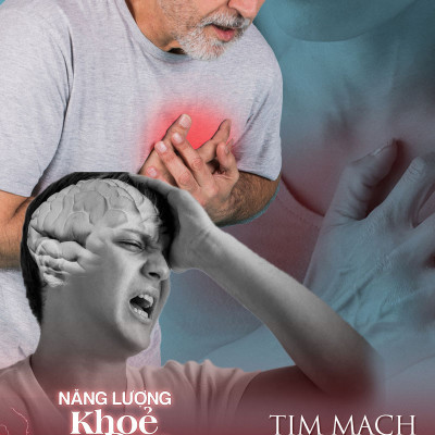 Thức uống bổ sung vitamin tăng năng lượng DMAXX NO SUGAR DAMODE hộp 30 gói