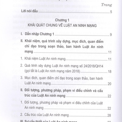 Một Số Vấn Đề Cơ Bản Của Luật An Ninh Mạng