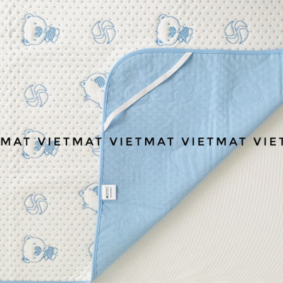 Combo 3 Tấm Lót Chống Thấm VIETMAT Màu Xanh (Size 40 x 50 cm)
