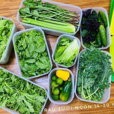 Bộ Hộp Tupperware Trữ Mát Có Nút Hô Hấp Ventsmart 6 Hộp - Nữ Hoàng Trữ Mát - Tươi Đến 3 Tuần