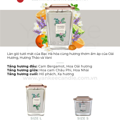 Nến ly vuông Elevation Yankee Candle size S - Exotic Bergamot (96g)