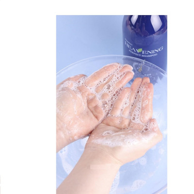 Set 01 Dầu Gội & 01 Dầu Xả chăm sóc tóc cao cấp, suôn mượt Heavening Perfect - Nhập khẩu Hàn Quốc