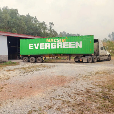 Thảm ô tô sd3 2 lớp dạng lưới lục giác Vinfast VF9 - 6 chỗ (màu đen) - bề mặt cao su siêu sạch - Macsim