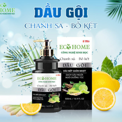 Dầu Gội Chanh Sả Bồ Kết Công Nghệ Sinh Học ECOHOME Kim Ngân Store Giúp Dưỡng Ẩm Tóc, Mềm Mượt,Óng Ả, Lưu Hương Lâu 500ml