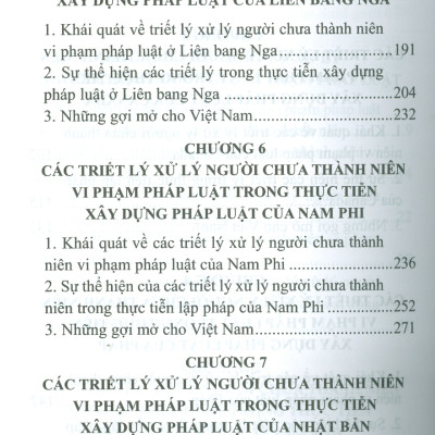 Triết Lý Xử Lý Người Chưa Thành Niên Vi Phạm Và Thực Tiễn Xây Dựng Pháp Luật Trên Thế Giới (Sách chuyên khảo) - TS. Đào Lệ Thu chủ biên