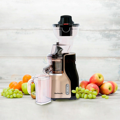 Máy ép chậm Bluestone SJB-6568 - Hàng chính hãng