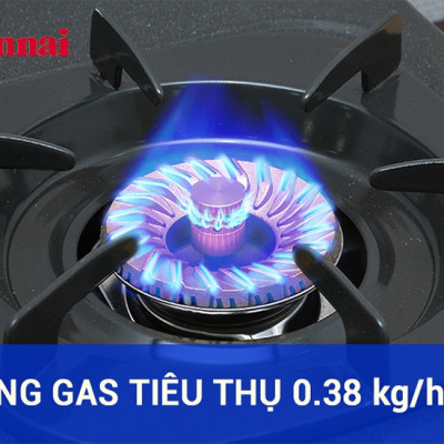 Bếp gas đôi dương Rinnai RV-375G(N) (Xám)