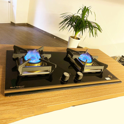 Bếp gas âm Eurosun EU-GA291D - Hàng Chính Hãng