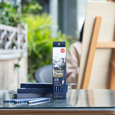 Bộ bút chì phác thảo Deli -nhiều độ cứng- gồm 12 cây khác nhau -tách set không hộp- 1 Bộ - S999-12C