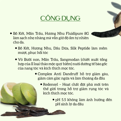 Dầu gội thảo dược sạch gàu, giảm xơ rối ECOCARE PREMIUM 300ml đạt chuẩn CGMP, dầu gội xả thiên nhiên 