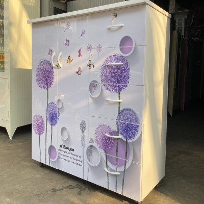 Tủ nhựa đài loan 2 cánh 5 ngăn cho hoa bồ công anh LGBCA25