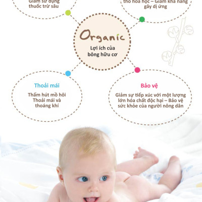 GỐI NẰM CHO BÉ 6M+ BẰNG VẢI ORGANIC KUKU KU2053 - SIZE 23x35 cm